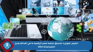 «فرص تمويل» صندوق منصة مصر الرقمية ما هي أهدافه وأبرز اختصاصاته 2024